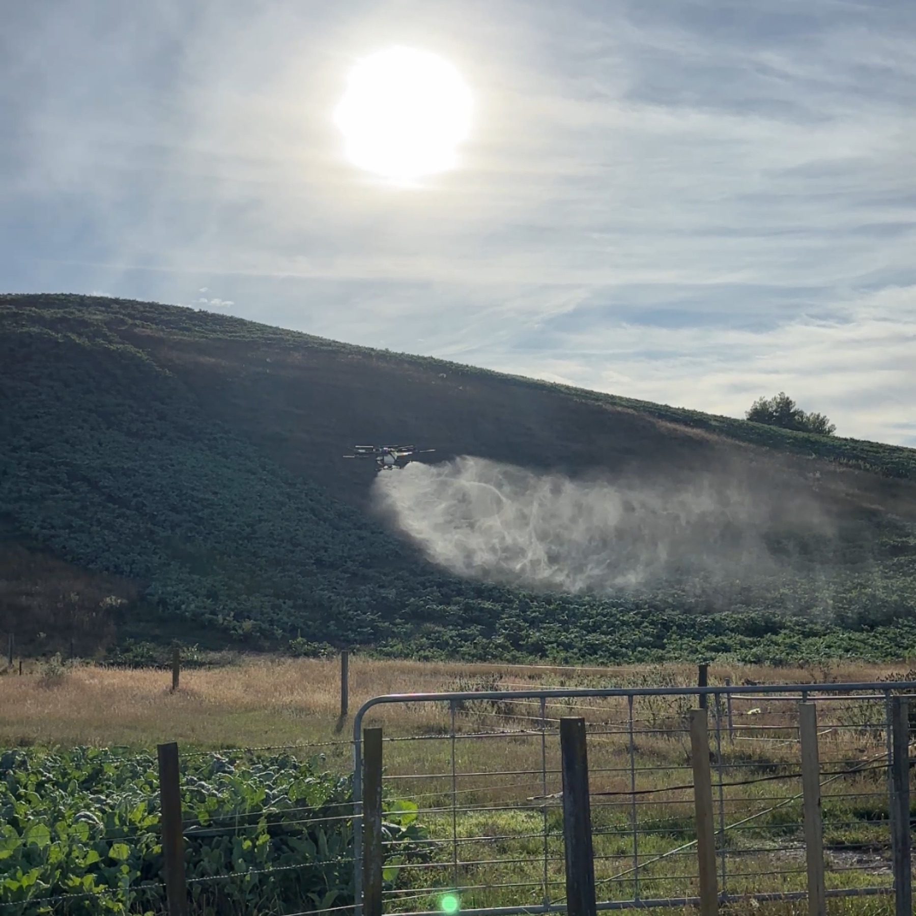Drone spraying a crop paddock below a hill at sunset