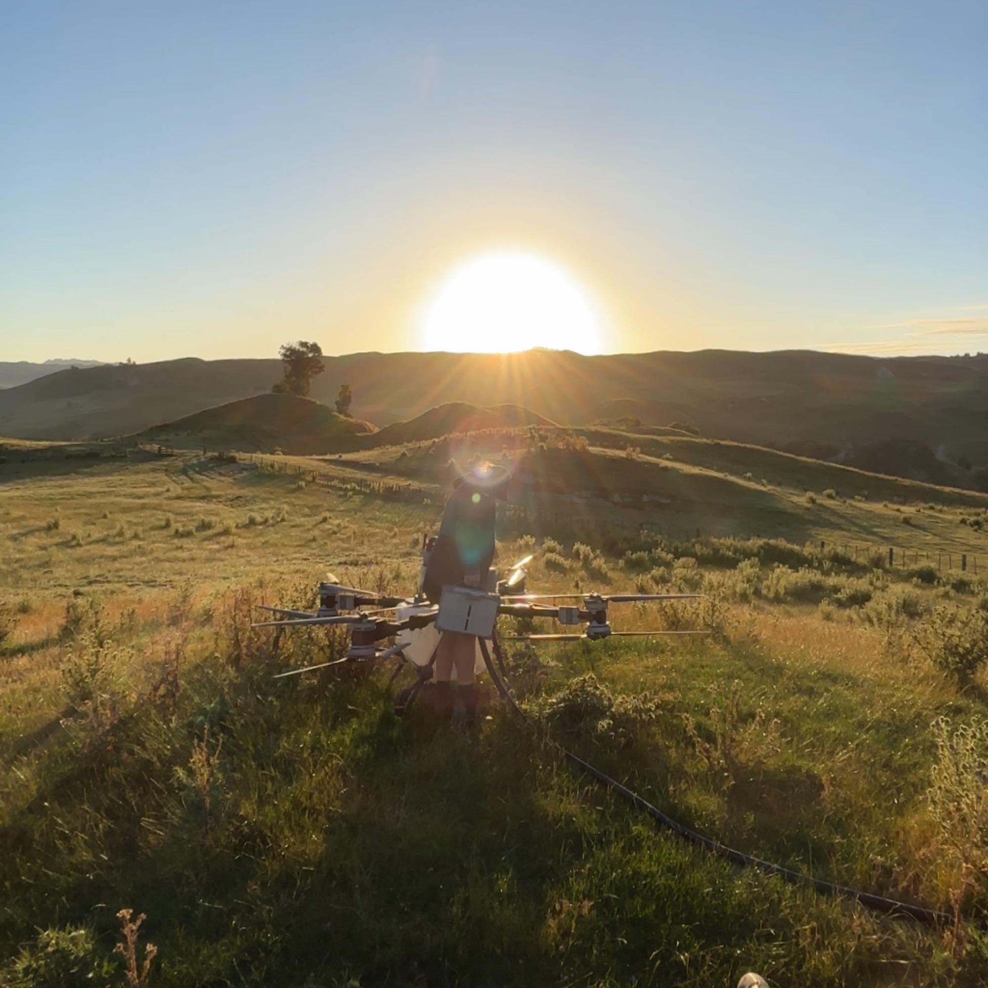 T100 on hill country pasture at sunrise