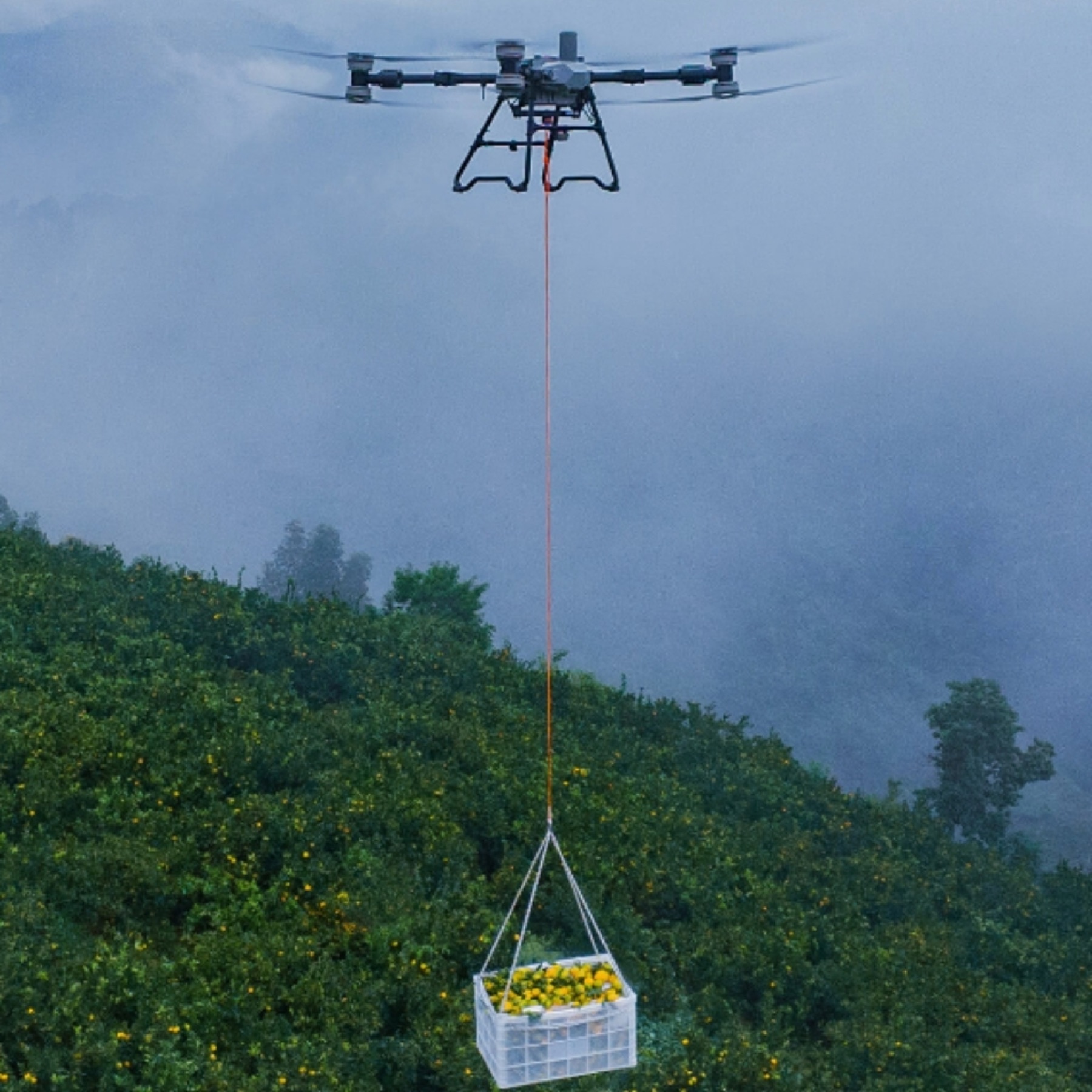 Drone lifting a crate of fruit up a steep hillside