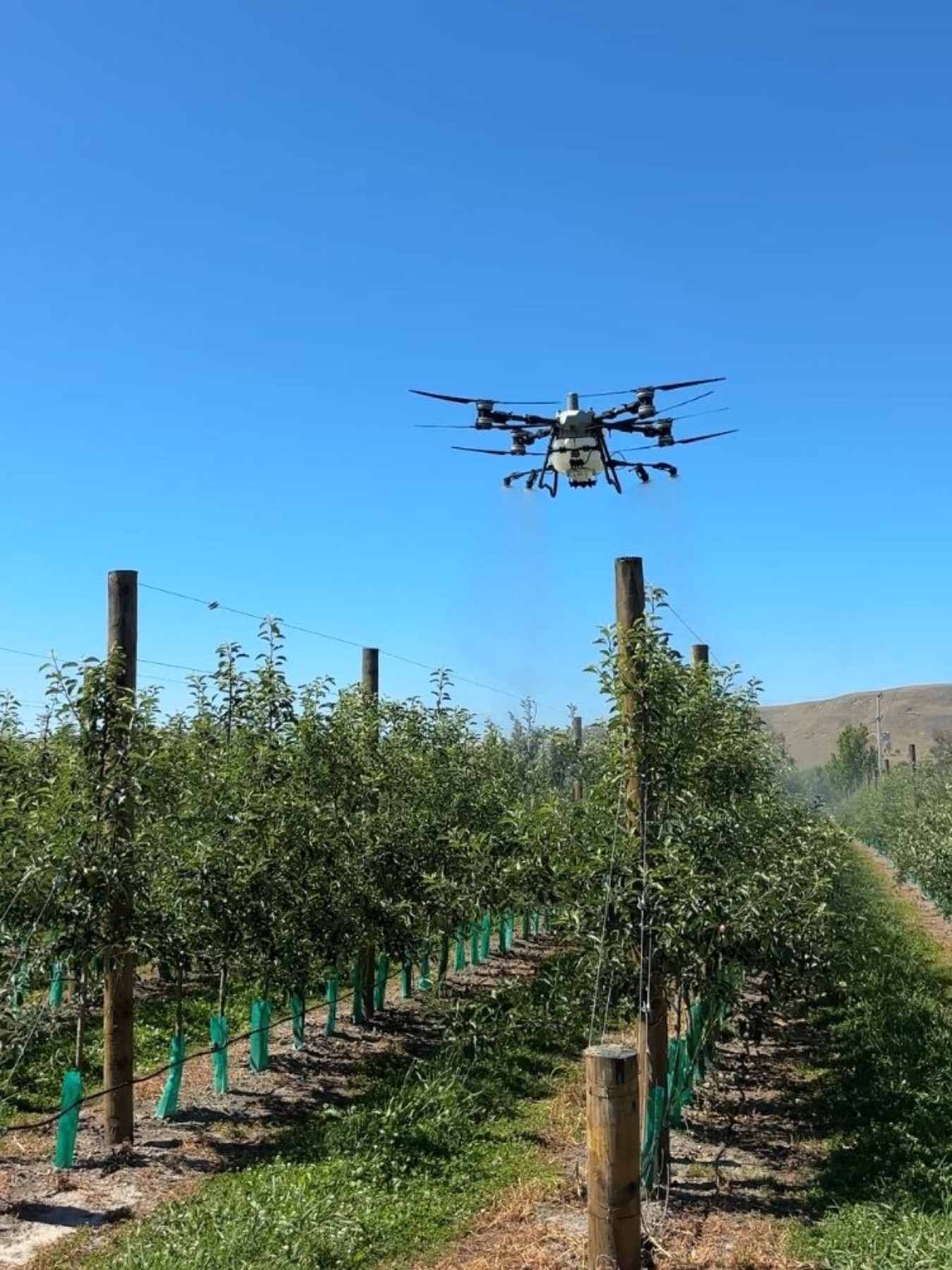 T100 spraying an apple orchard