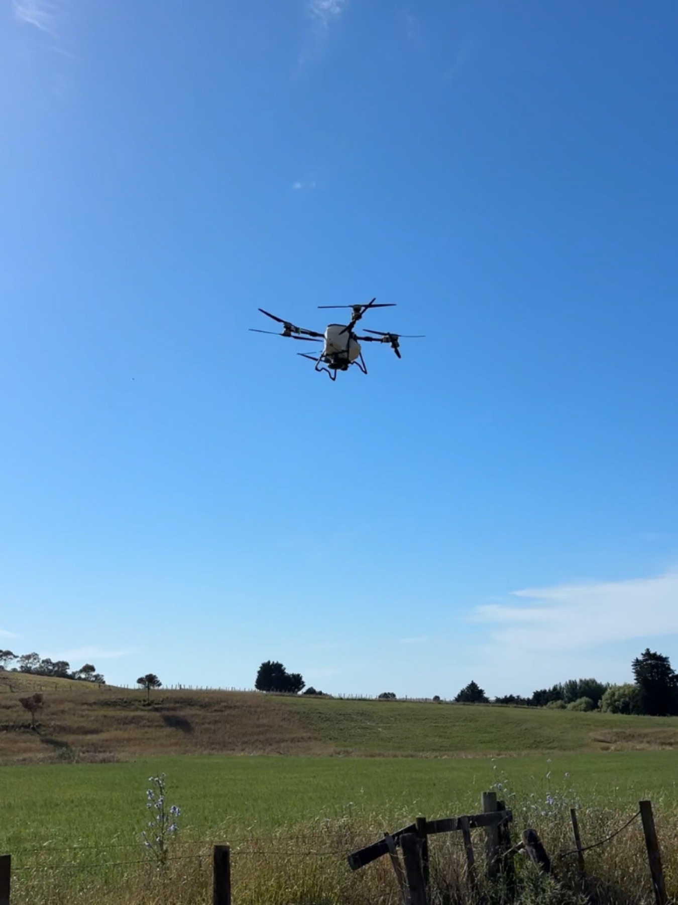T100 flying over a paddock