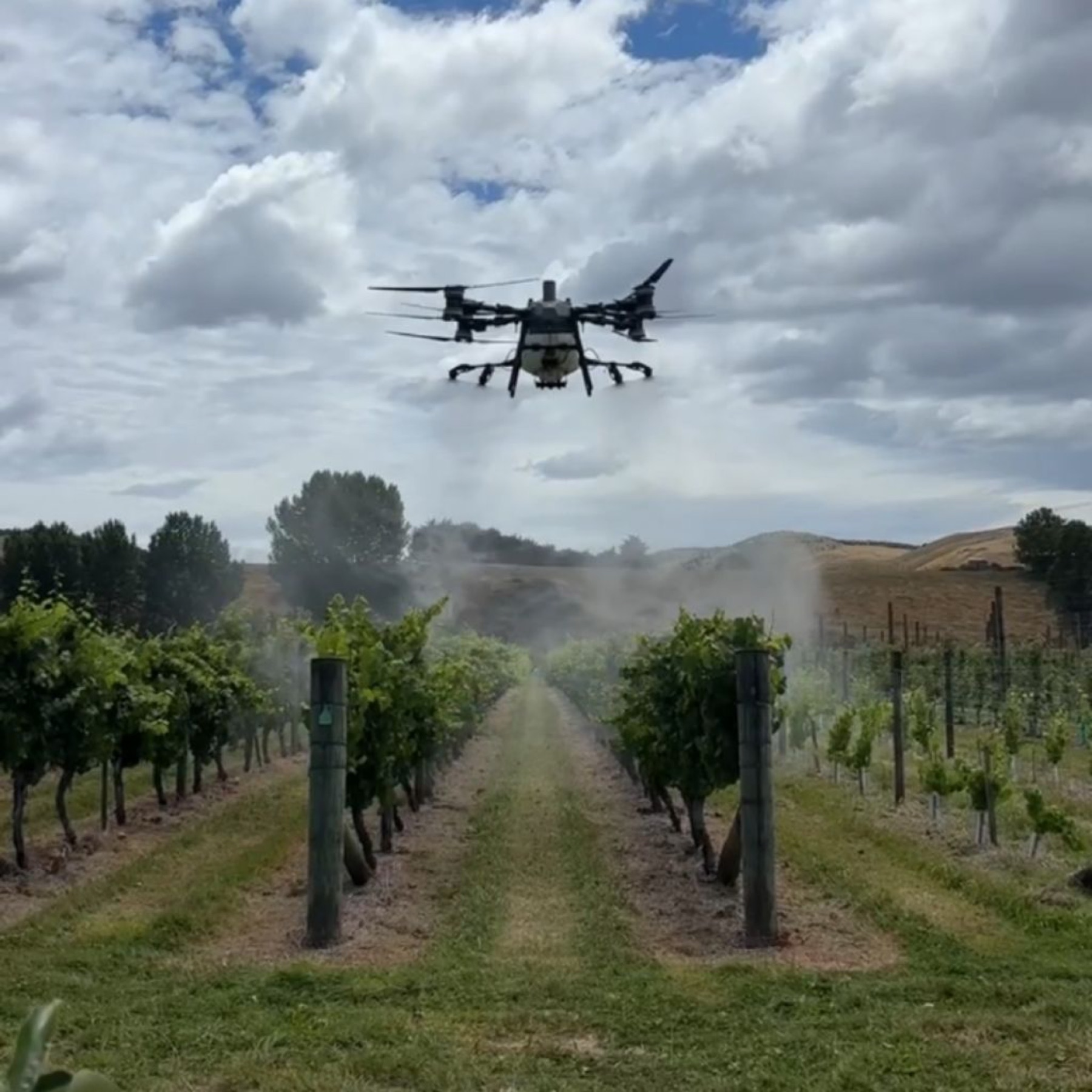 DJI Agras T100 spraying a vineyard in Hawke's Bay