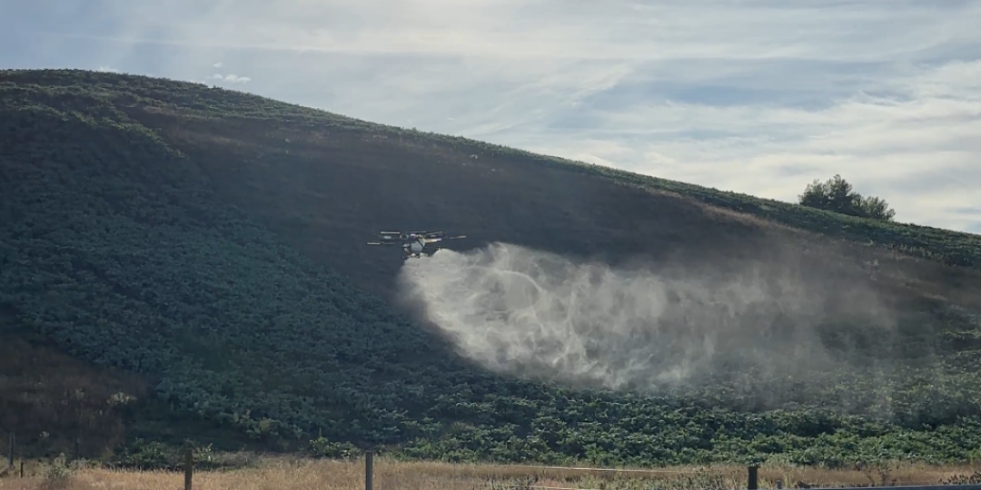 untitled design (13)