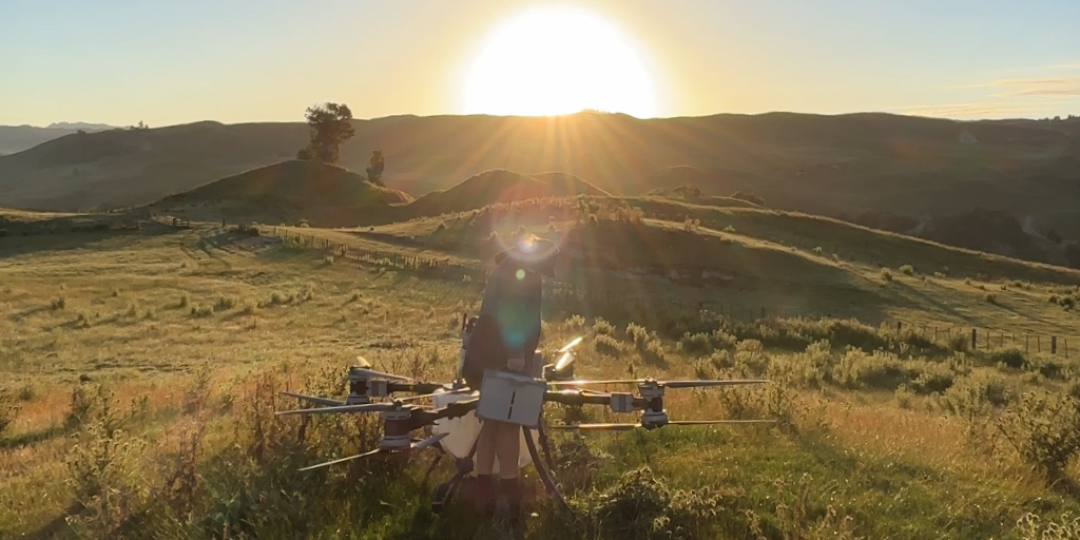 untitled design (14)